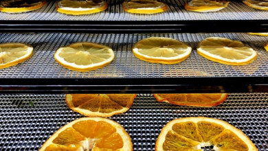 خشک کردن پرتقال با خشک کن