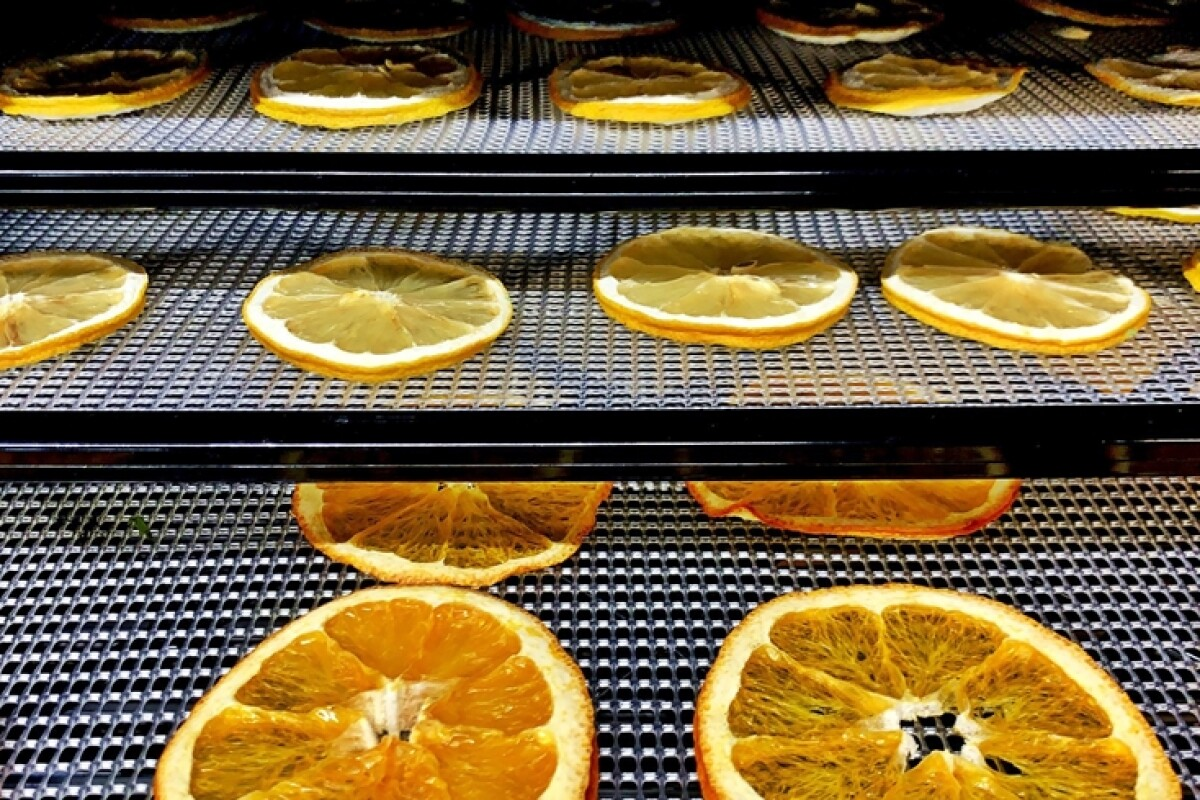 خشک کردن پرتقال با خشک کن